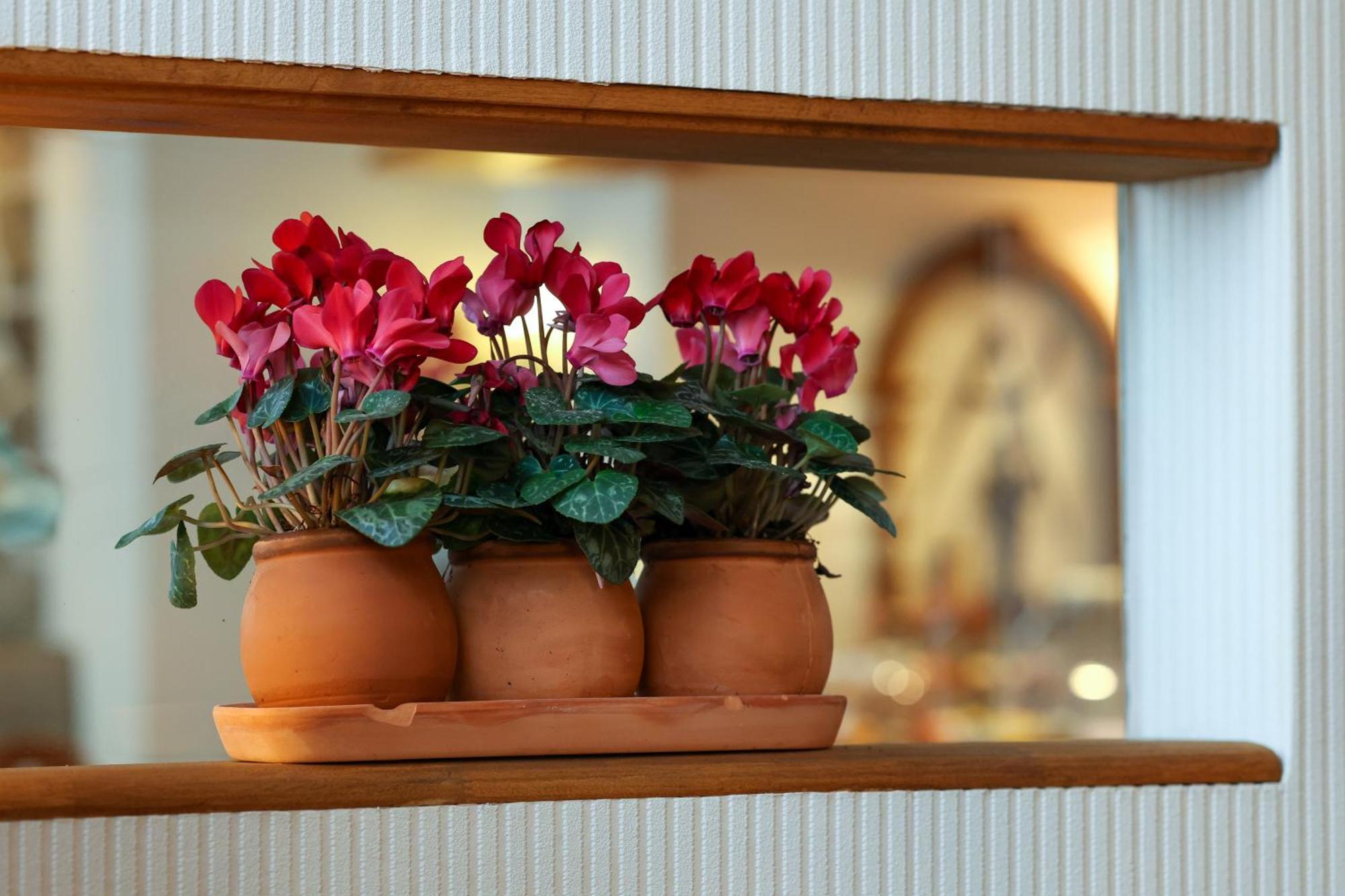 Franconia City Hotel Нюрнберг Екстериор снимка